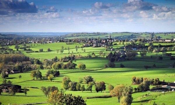 Le bocage du Pays de Herve : prairies, haies et village au loin